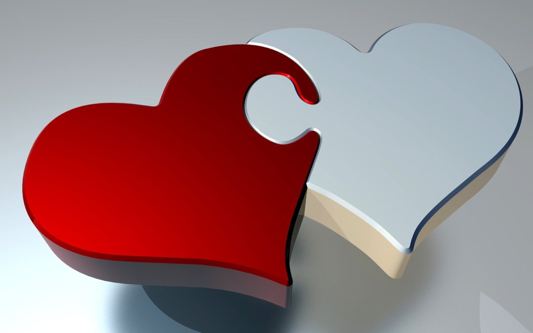 Fall in Love with Everything DiSC®