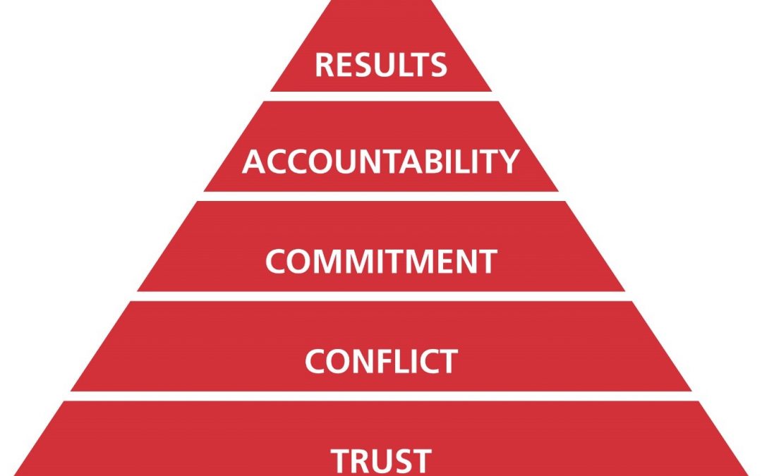 Learn to use the Powerful Five Behaviours Profiles